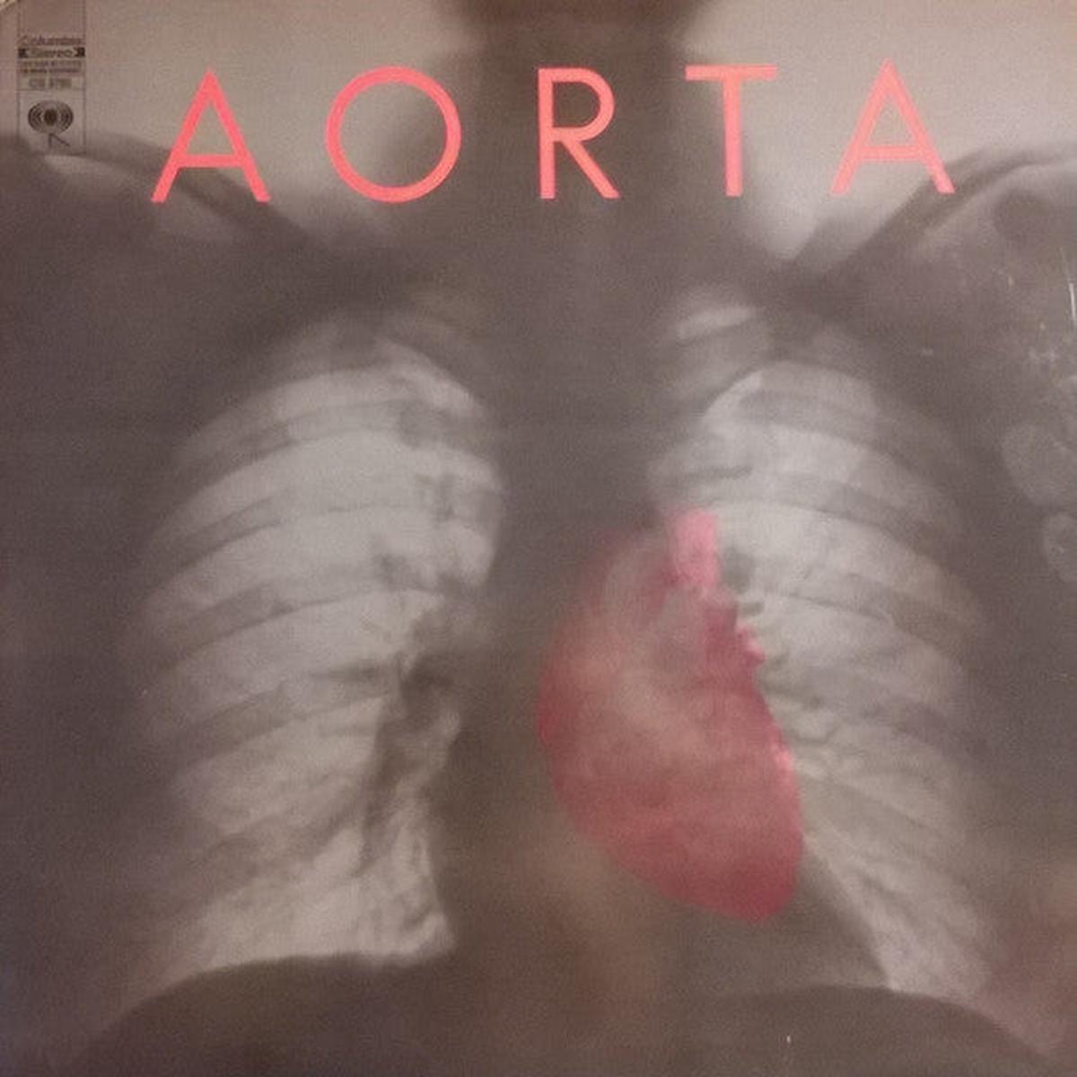 Aorta - Aorta