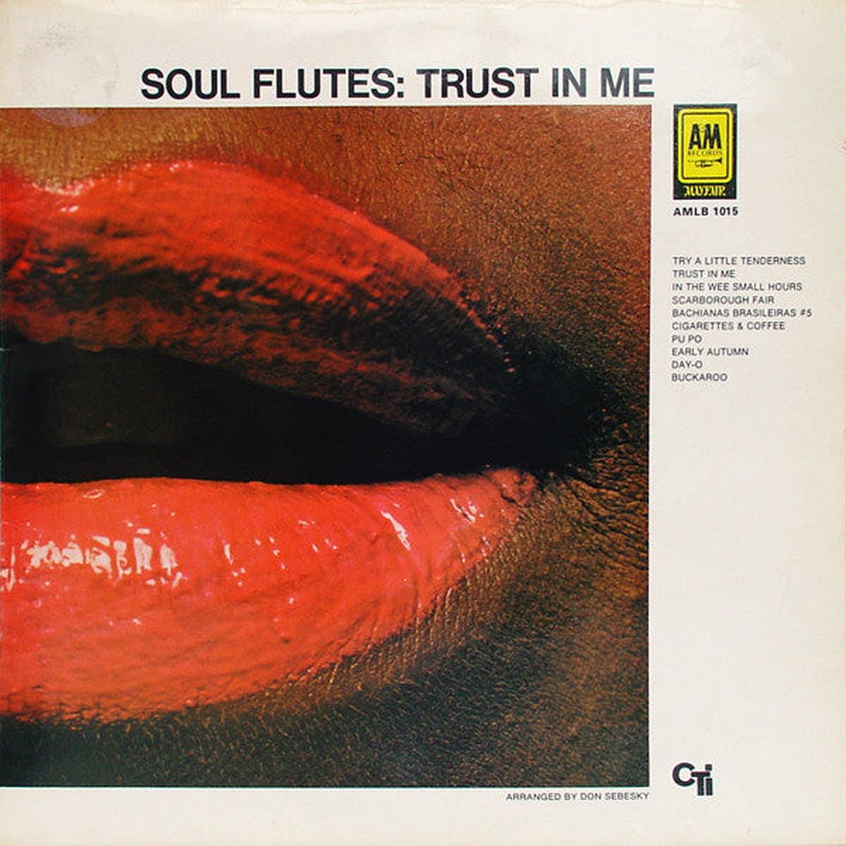 Soul Flutes Trust In Me - 1970- Jazz Fusion (UK Import Vinyl) Scuffing one side