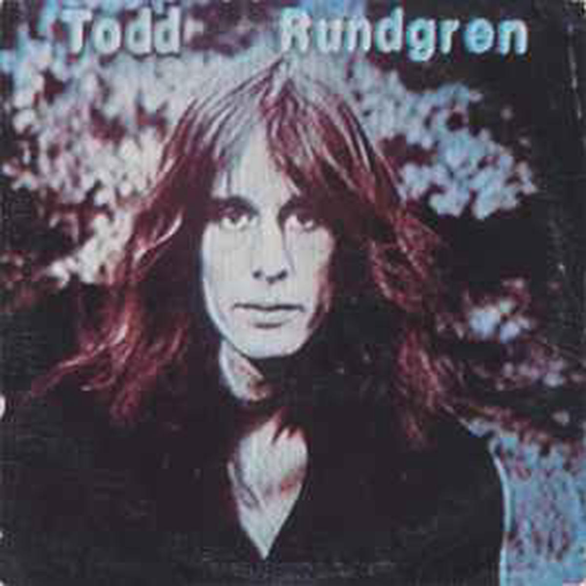 Rundgren, Todd -- Hermit Of Mink Hollow (jacksonville)