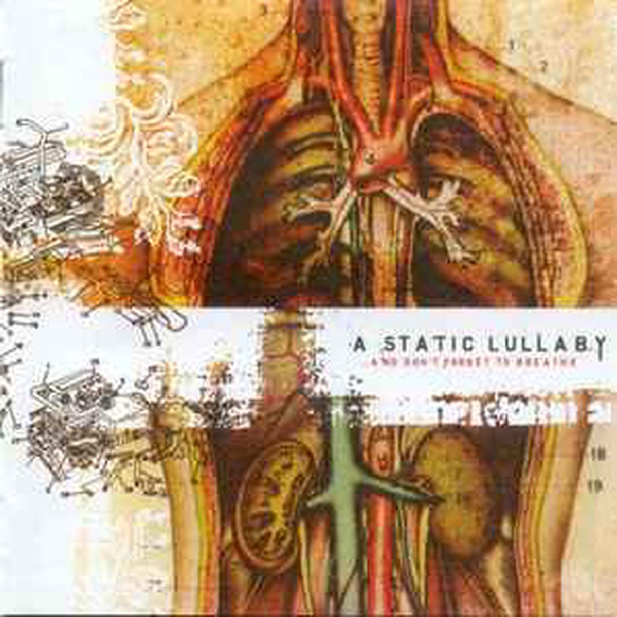 Static Lullaby -- & Don't Forget To Breathe