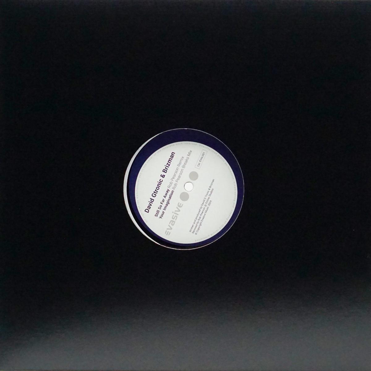 DAVID GTRONIC & BRIZMAN STILL SO FAR AWAY / YOUR IMAGINATION