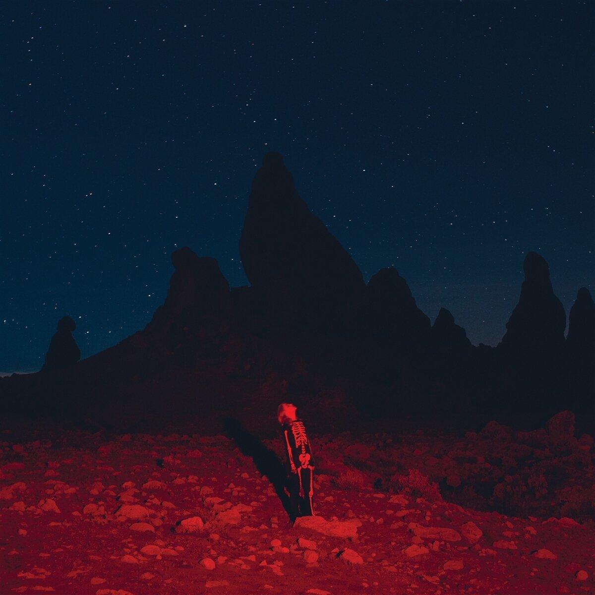 Phoebe Bridgers - Punisher (Arrives in 21 days)