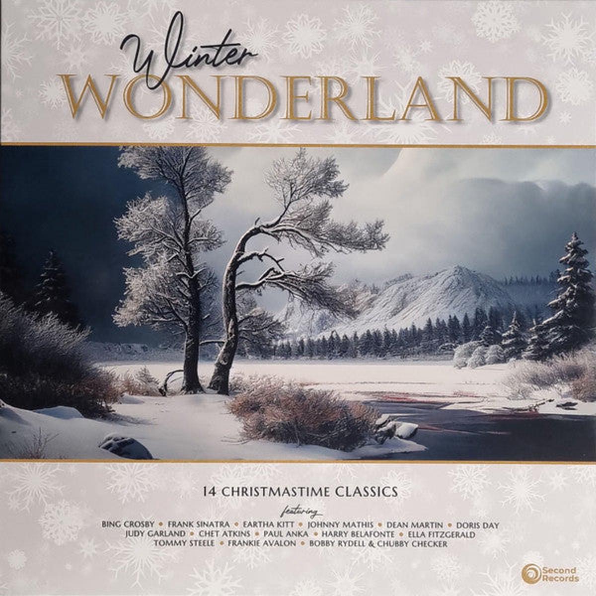 Various Winter Wonderland