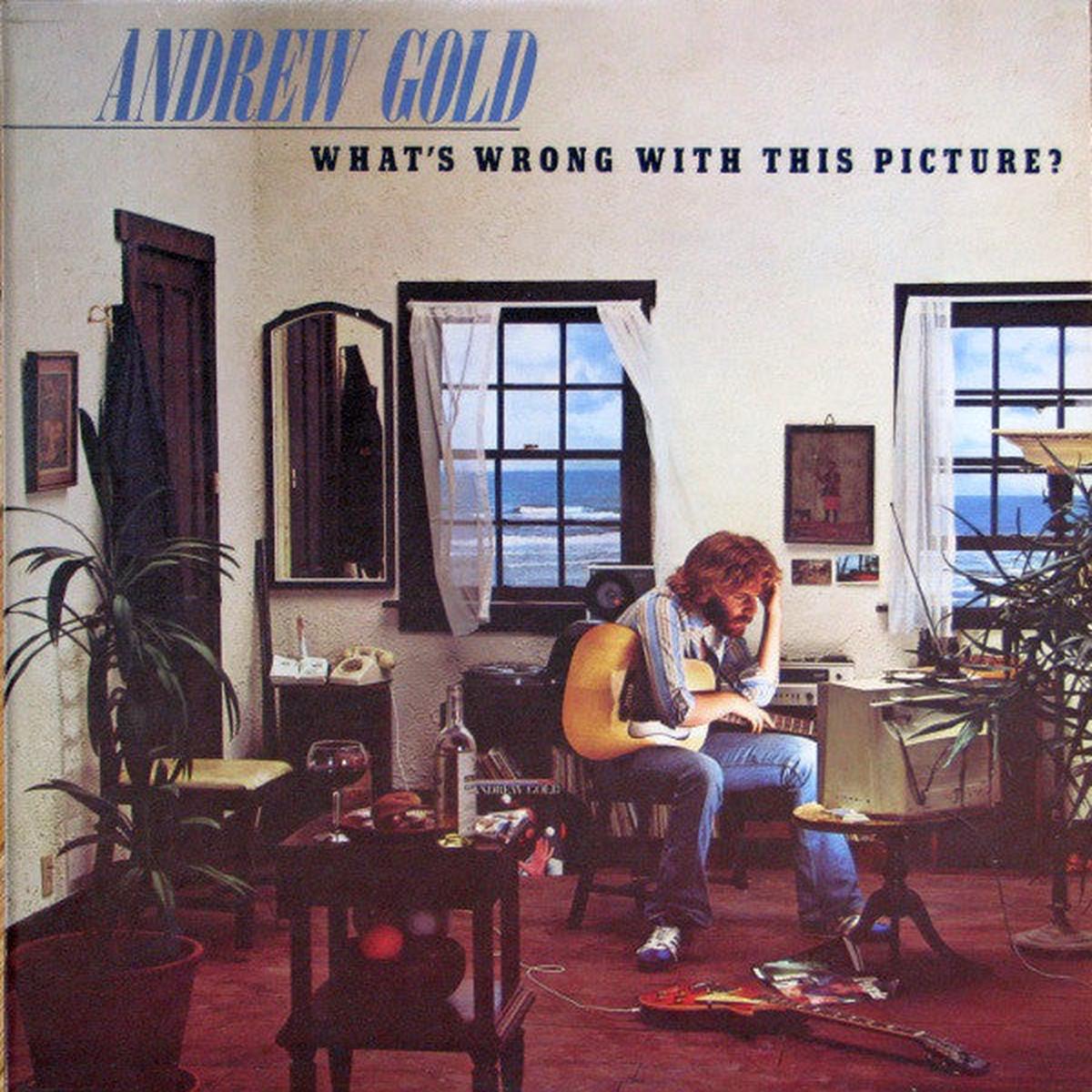 Andrew Gold  What's Wrong With This Picture? - 1976-Soft Rock, Pop Rock (vinyl)