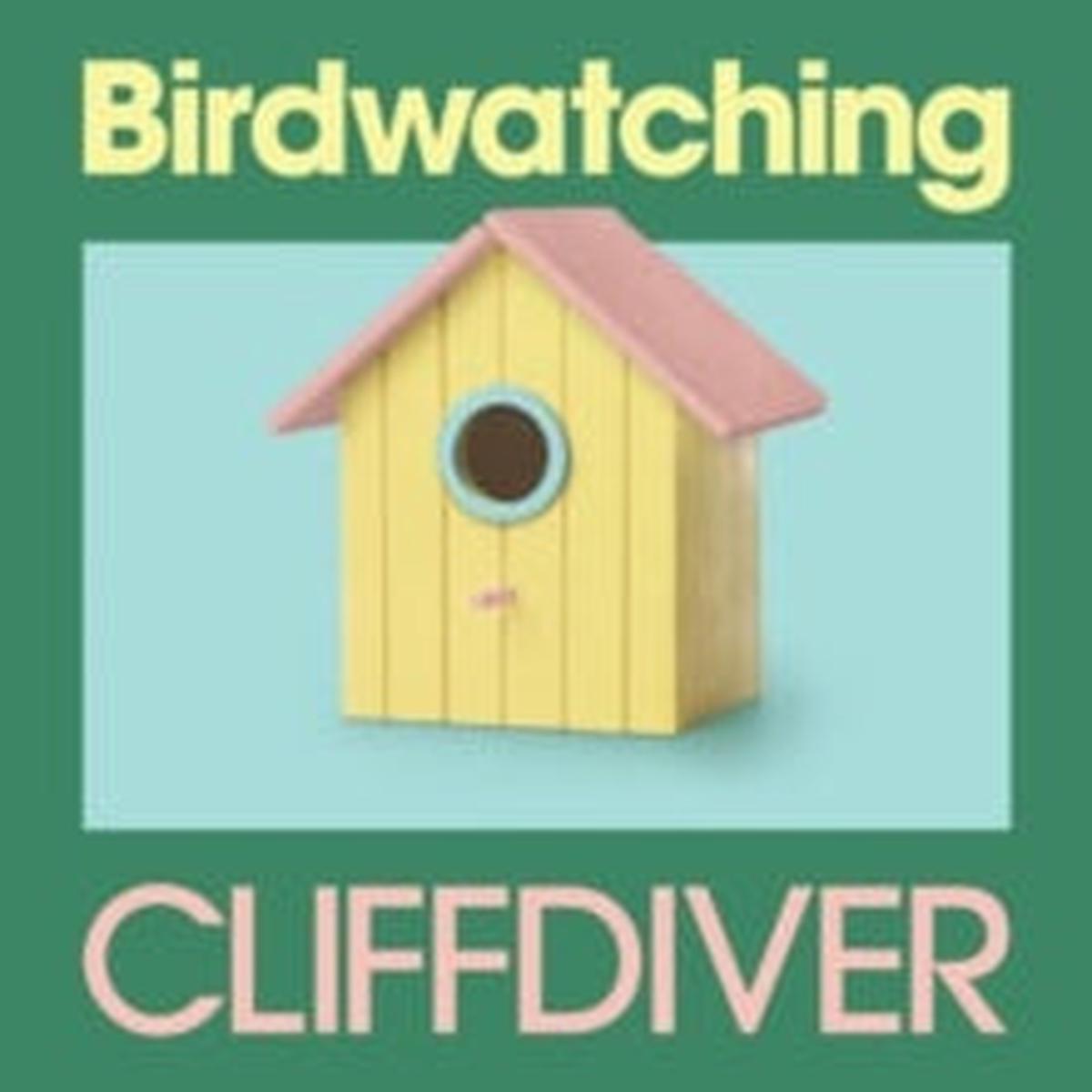 Cliffdiver -- Birdwatching