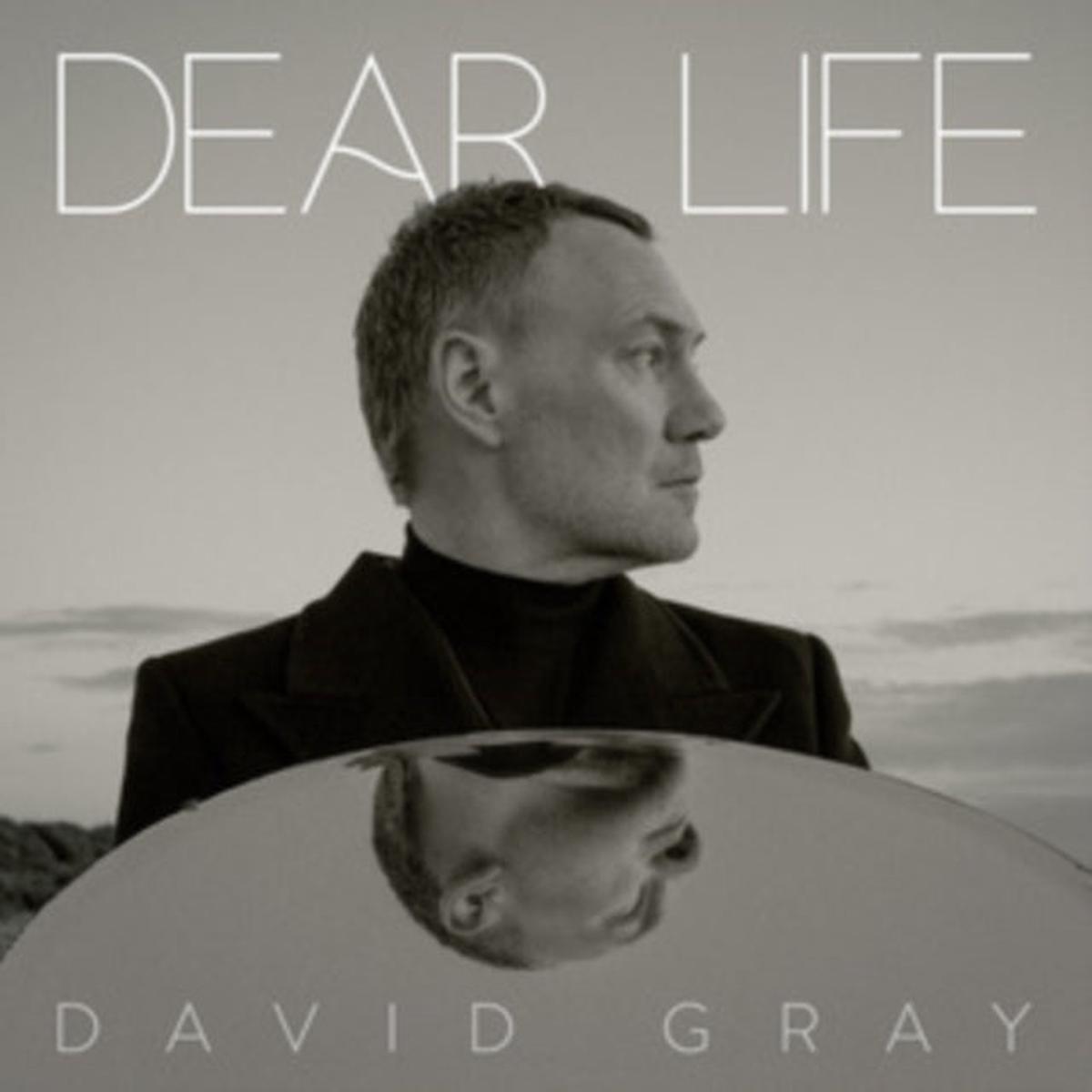 David Gray - Dear Life - 2LP - Green Vinyl