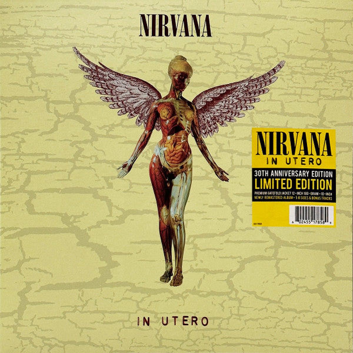 Nirvana - In Utero (Arrives in 4 Days)