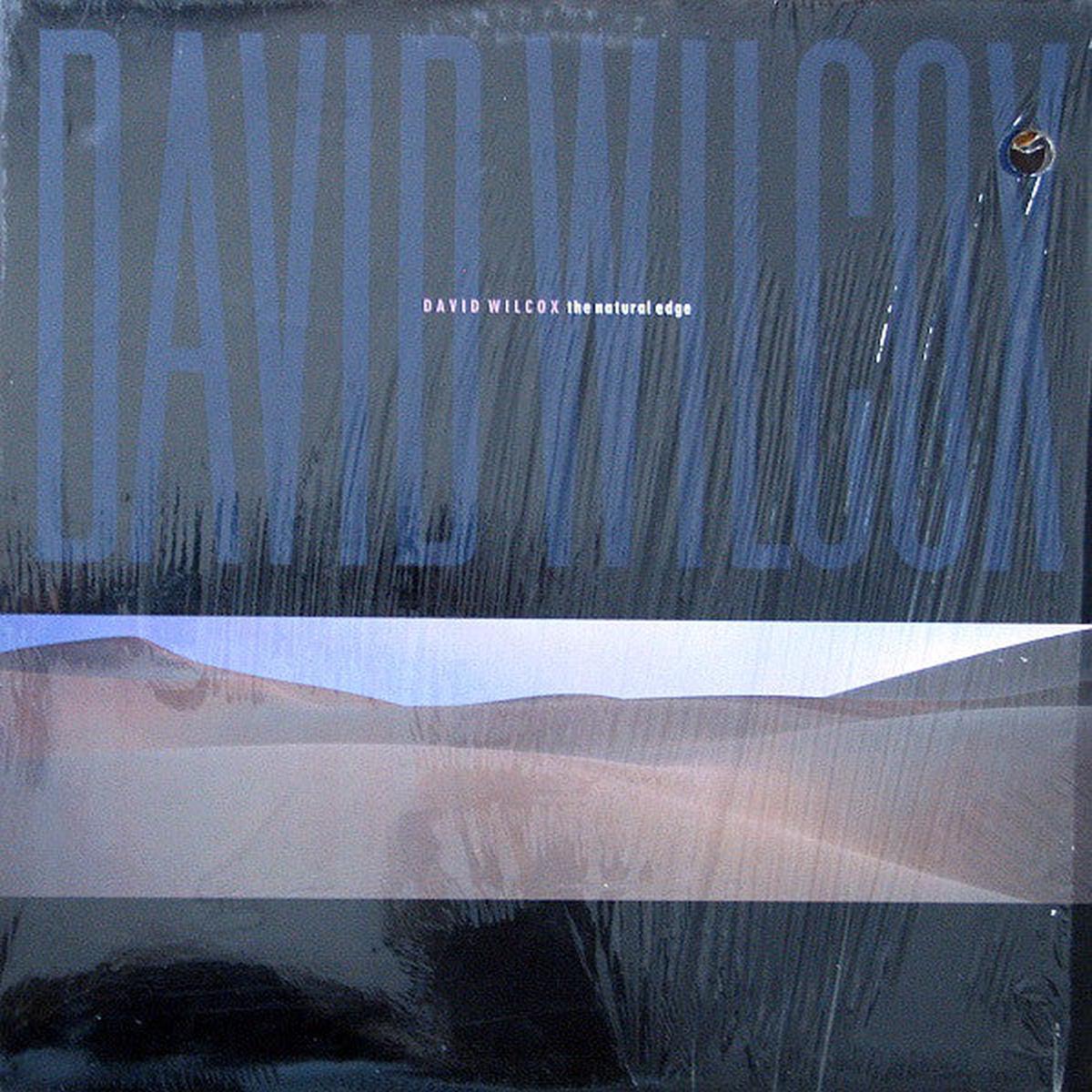 David Wilcox   The Natural Edge - 1989- Blues Rock (vinyl)