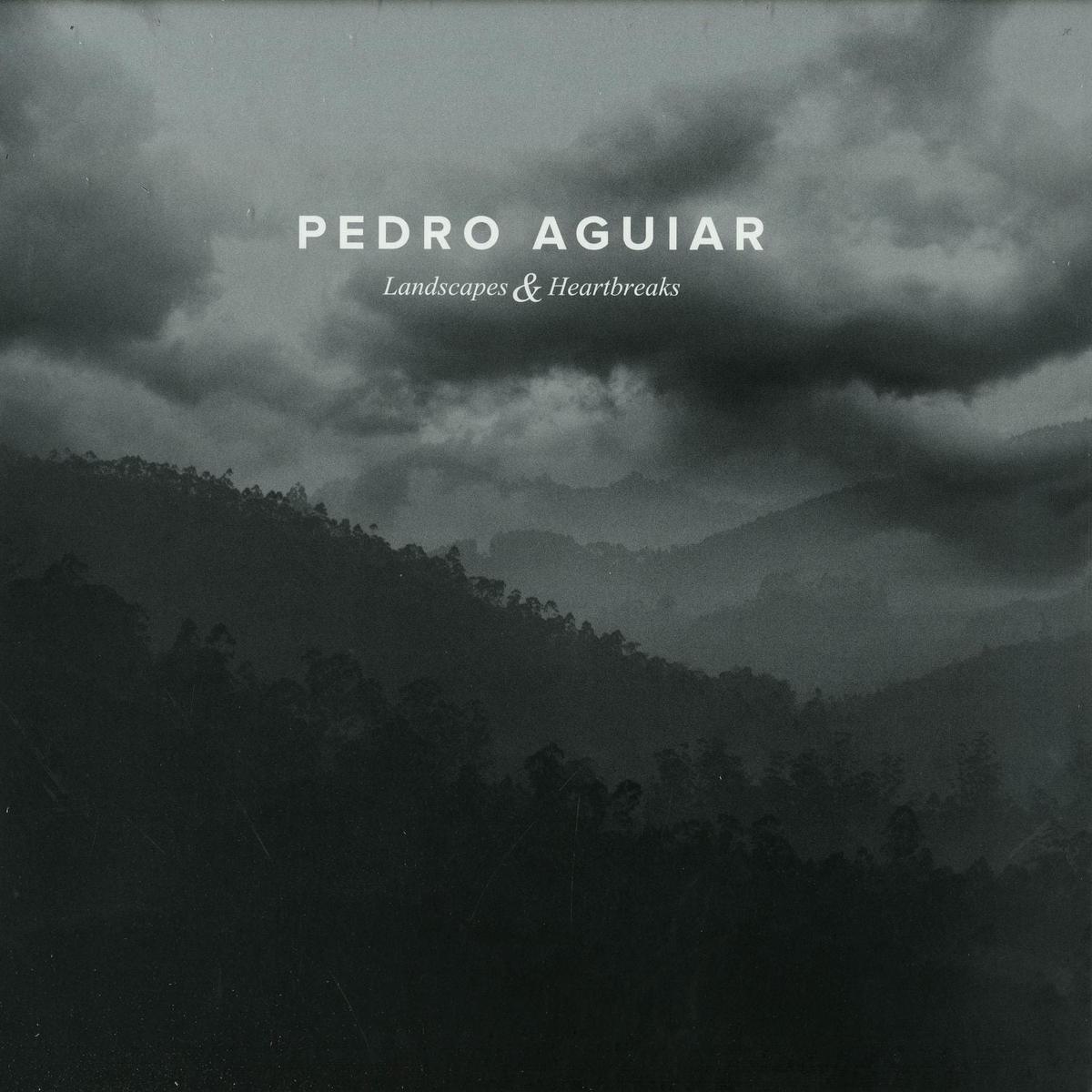 PEDRO AGUIAR LANDSCAPES & HEARTBREAKS