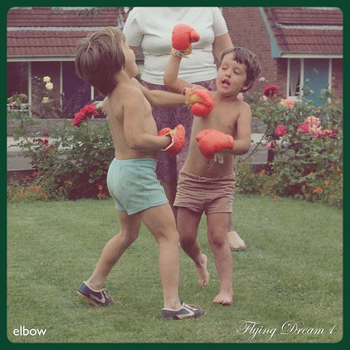 Elbow - Flying Dream 1 ( (Used Vinyl - NM) RM Marketplace