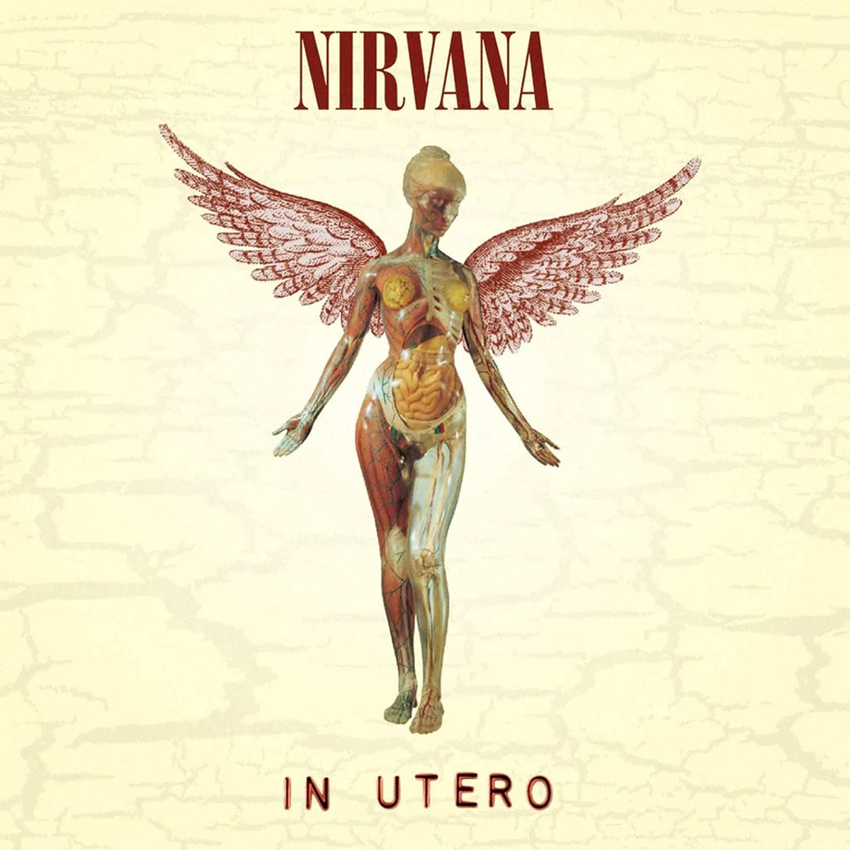 Nirvana - In Utero (30th Anniversary Remastered Edition) - LP + Bonus 10'' - 180g Vinyl