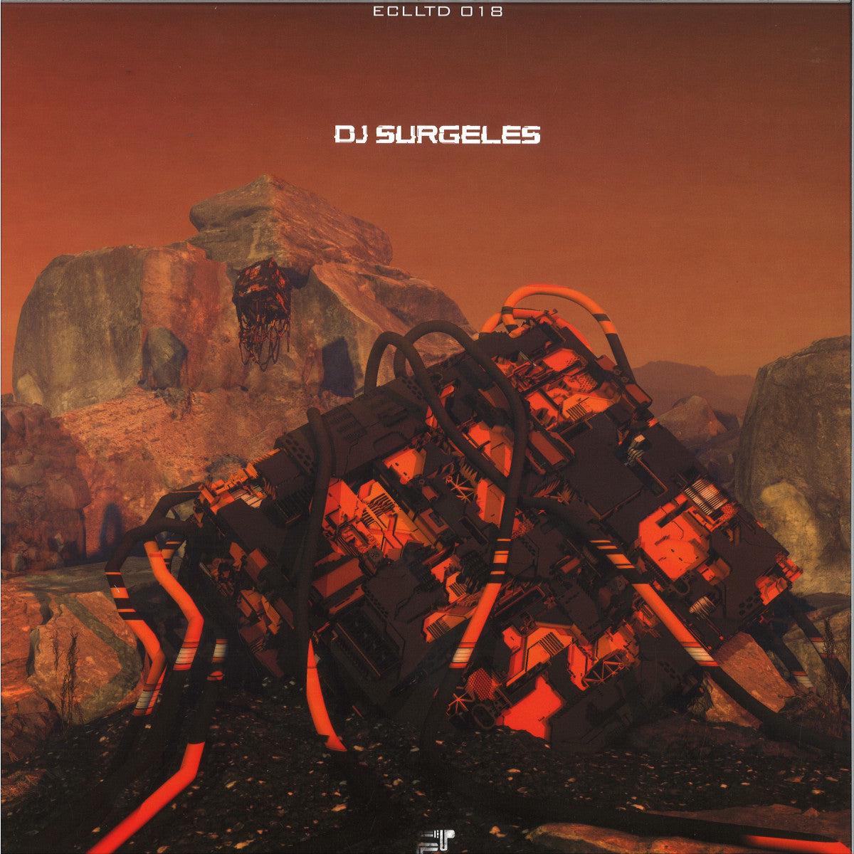 DJ SURGELES VISIONS OF THE WISE