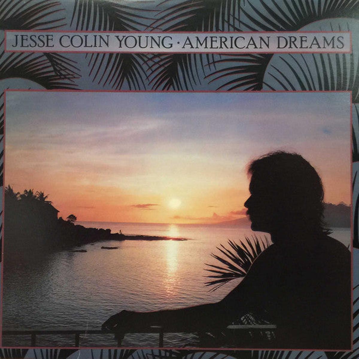Jesse Colin Young American Dreams -1978-Folk Rock (vinyl)