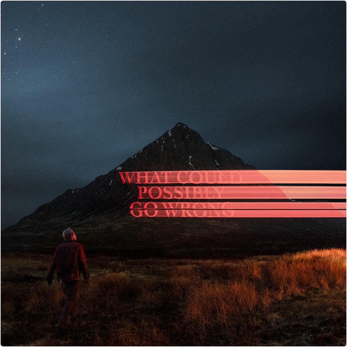 Dominic Fike - What Could Possibly Go Wrong (Arrives in 21 Days)