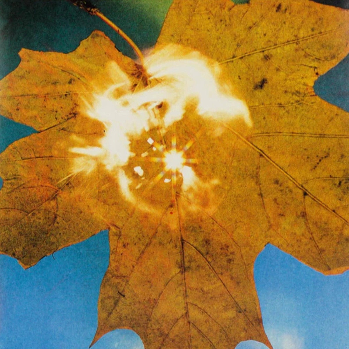 Soyuz - Force of the Wind ( ) (Mr Bongo) (Copy) (Arrives in 30 Days)