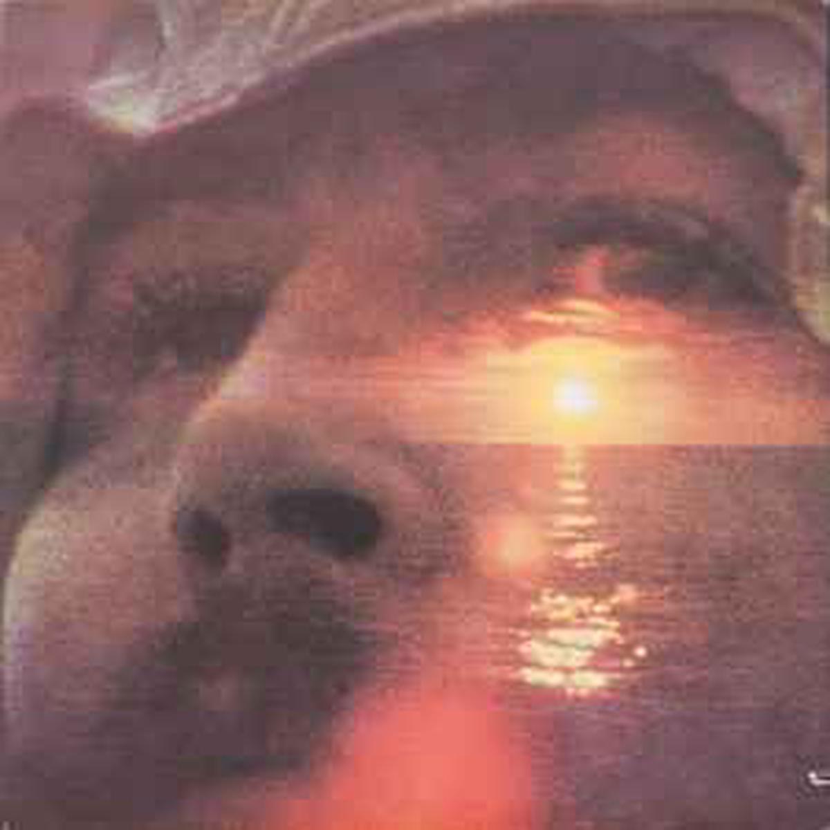 Crosby, David -- If I Could Only Remember My Name
