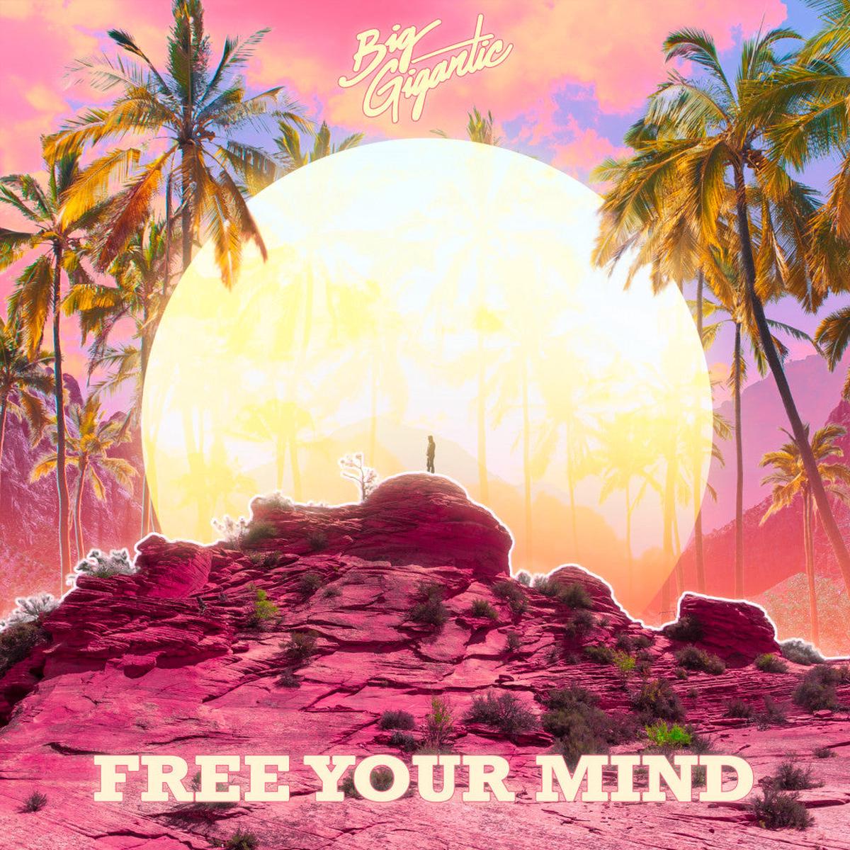 Big Gigantic - Free Your Mind (Ninja Tune) (Arrives in 30 days)