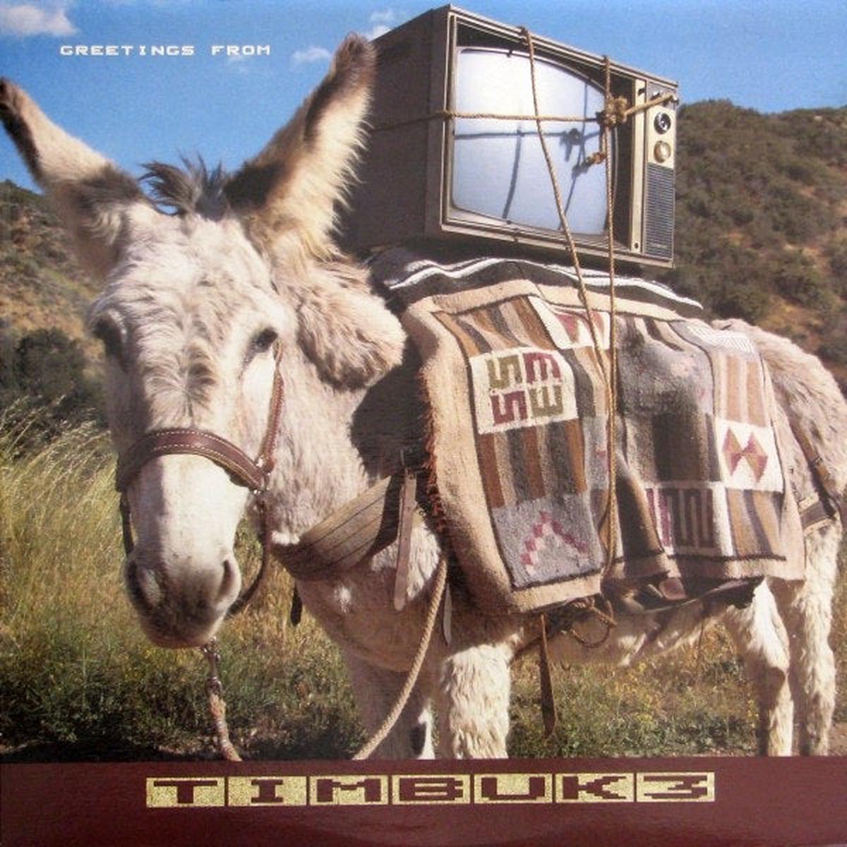 Timbuk 3  Greetings From Timbuk 3 -1986 -  Indie Rock (Vinyl)