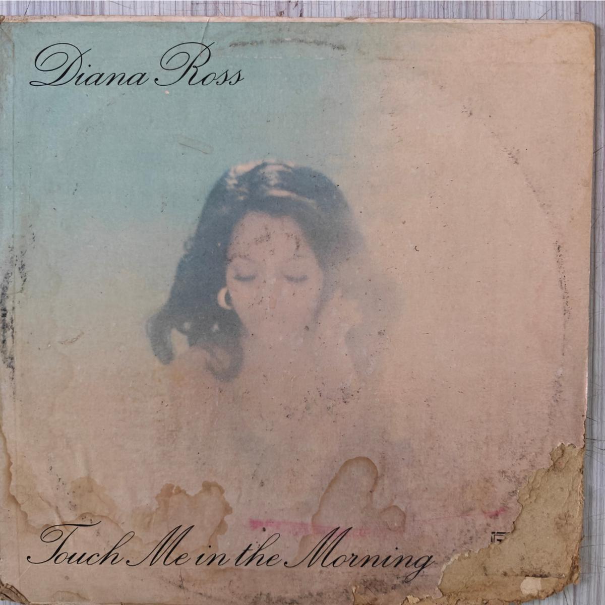 Diana Ross - Touch Me In The Morning (Indian Pressing) ( (Used Vinyl - VG+) PJ Marketplace