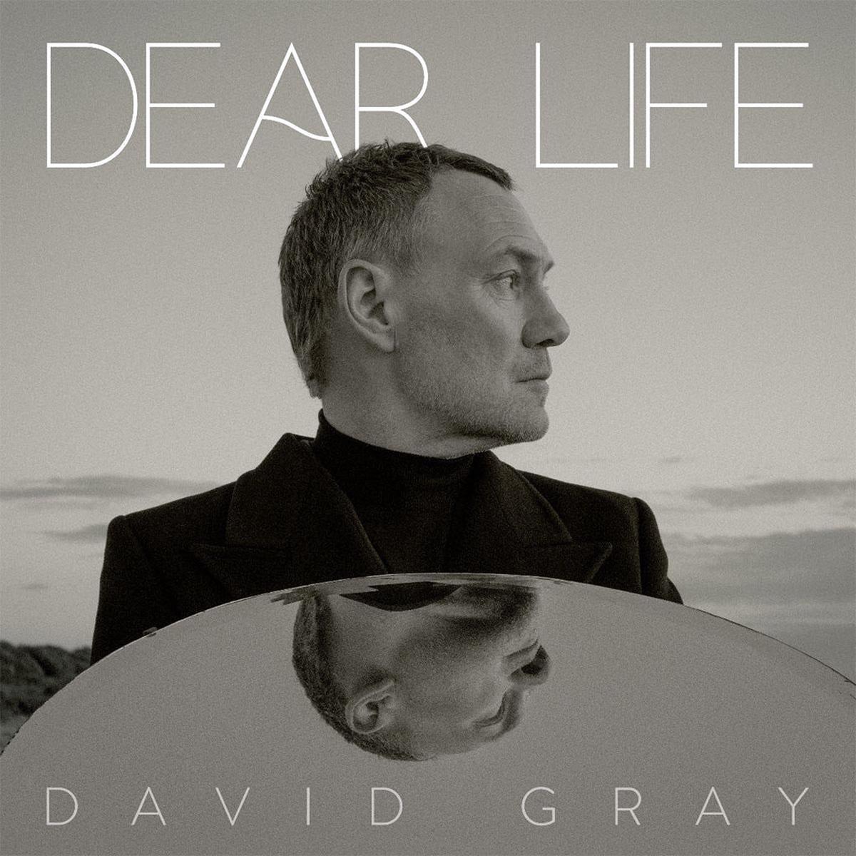 Dear Life (EU Press) - David Gray (Vinyl) (BD)