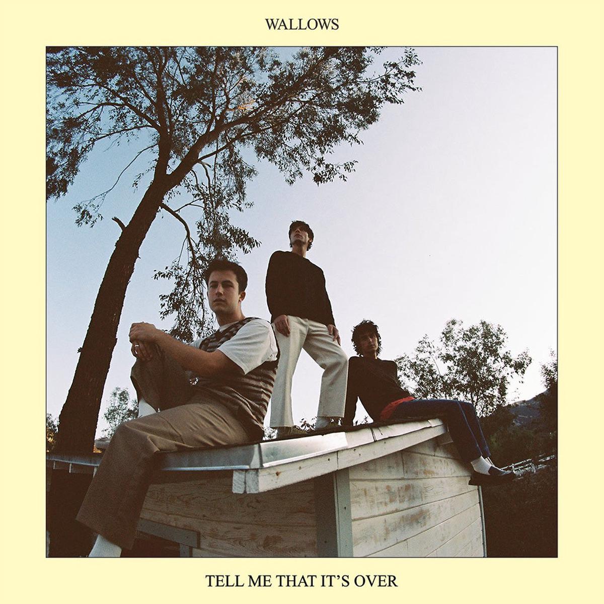 Tell Me That Its Over - Wallows (Vinyl) (AE)