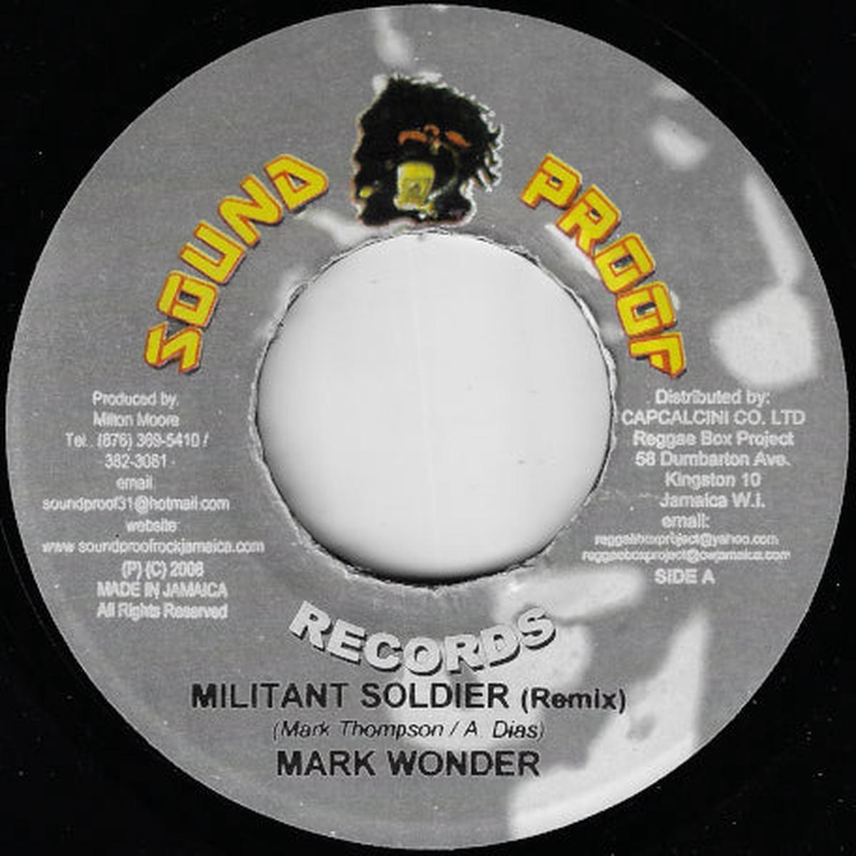 Militant Soldier (Remix) / Ver