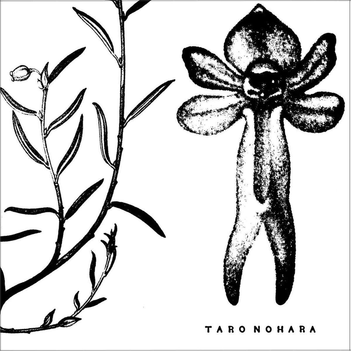 Poly-Time Soundscapes / Forest of the Shrine - Taro Nohara (Vinyl) (BD)