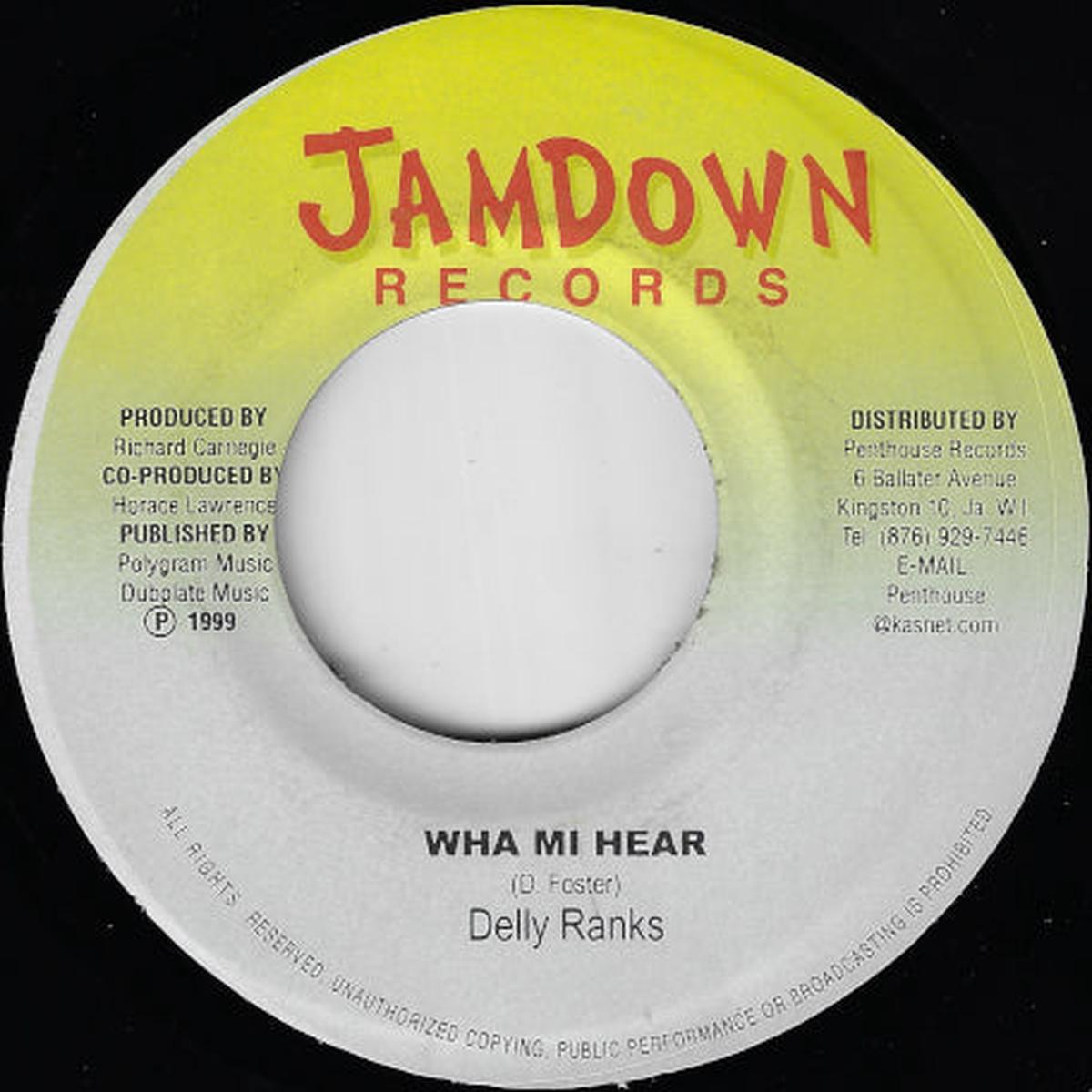 Wha Mi Hear / Niceness
