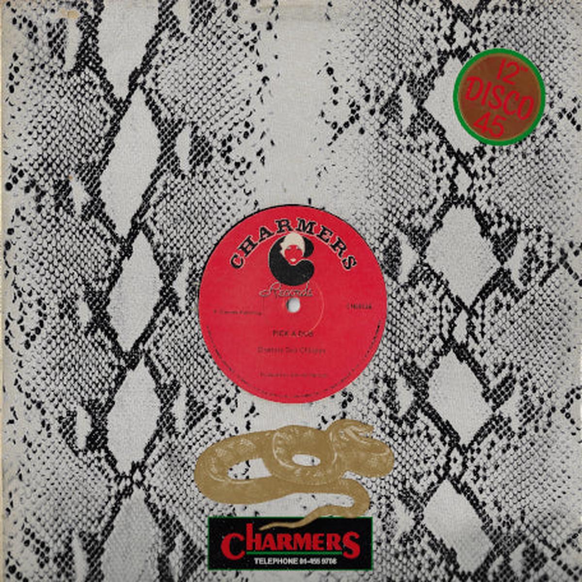 DISCO MEDLEY Its You / Boderation Oh / My New Name / Mule Train / Pick A Dub