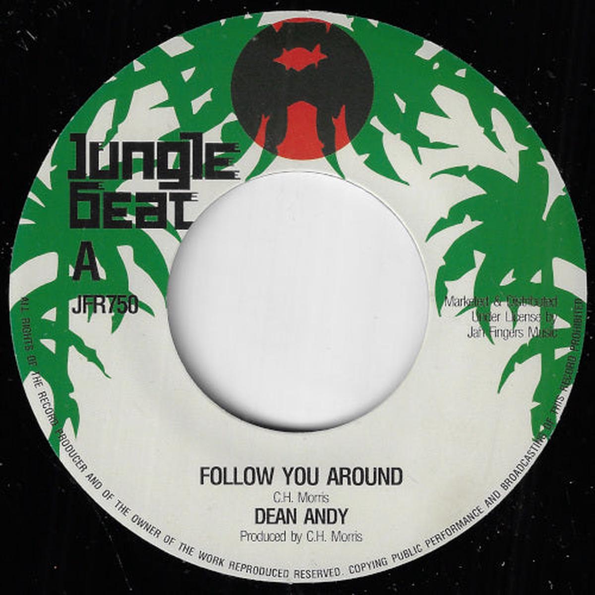 Follow You Around / Follow Ver