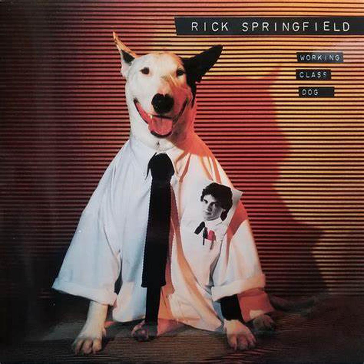 RICK SPRINGFIELD - WORKING CLASS DOG