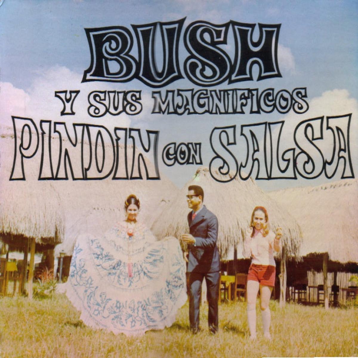 BUSH Y SUS MAGNFICOS - PINDIN CON SALSA