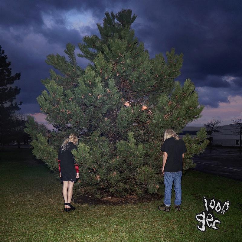 1000 Gecs - 100 Gecs (Vinyl) (AE)