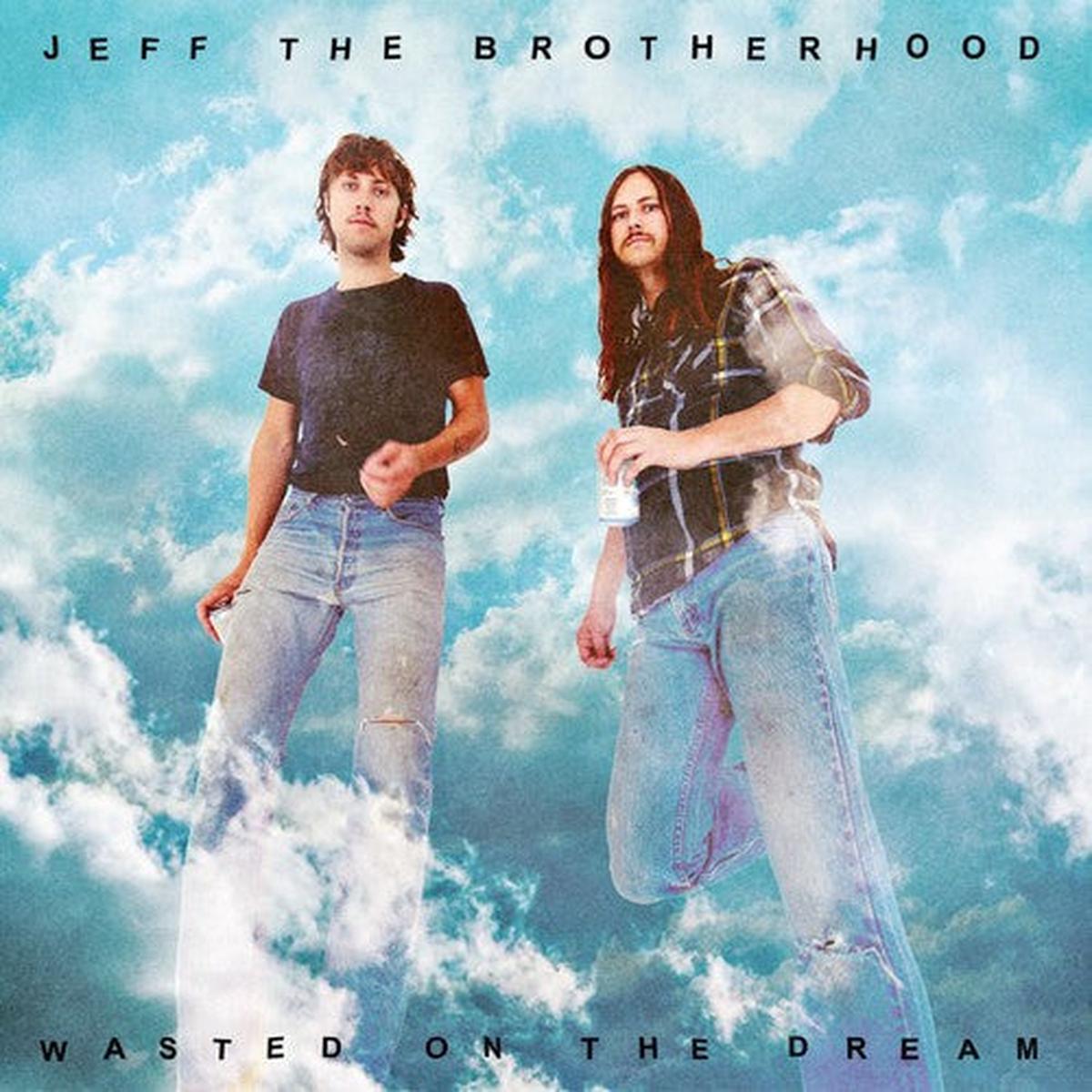 Jeff The Brotherhood Wasted On The Dream LP