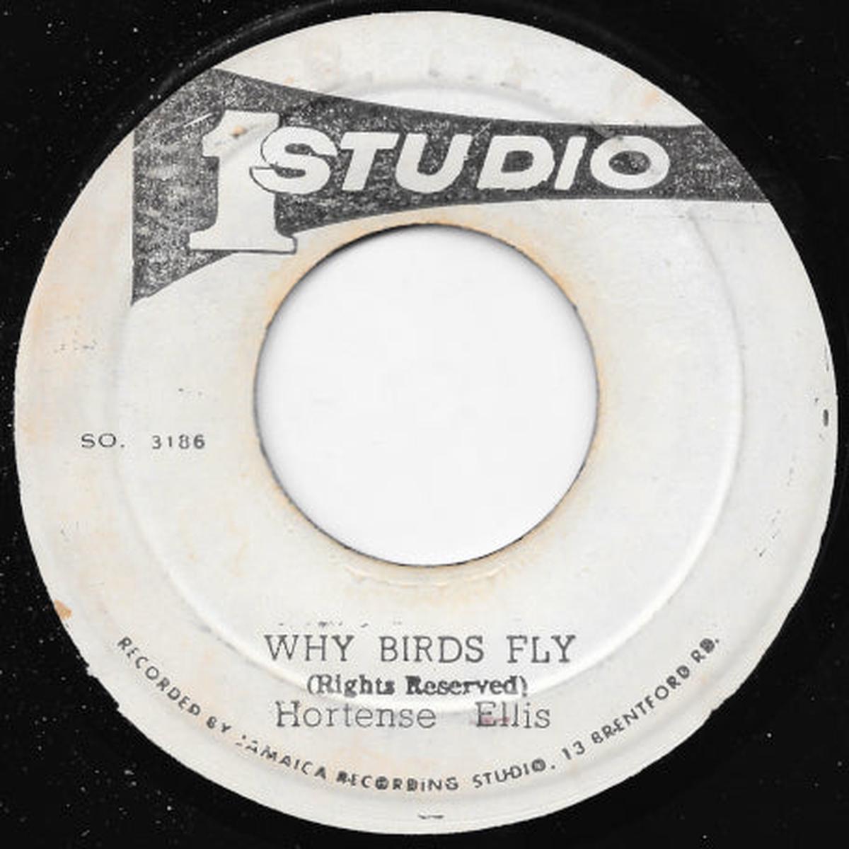 Why Birds Fly / Why Version