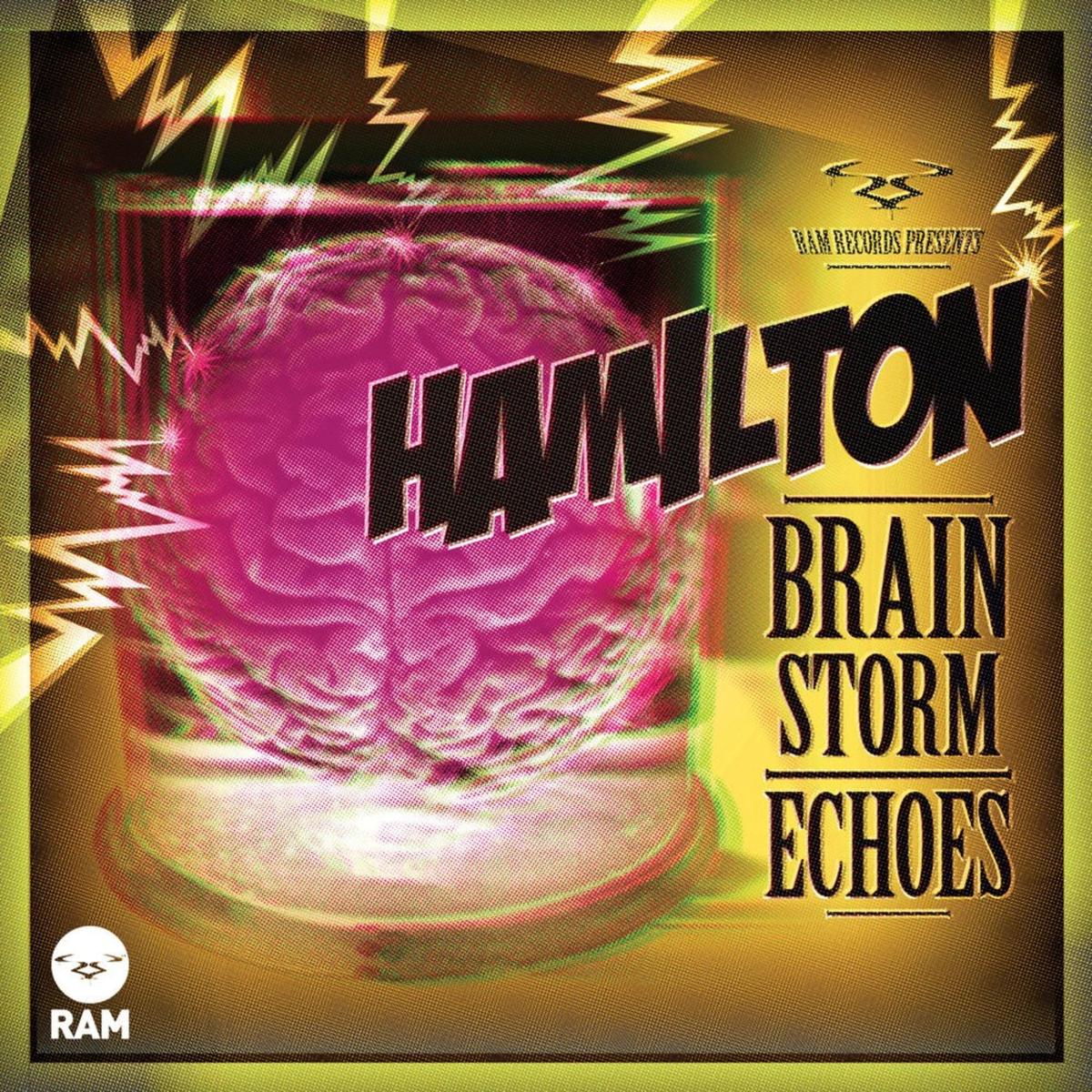 Hamilton - Brain Storm Echoes 12" vinyl single (Used MINT)