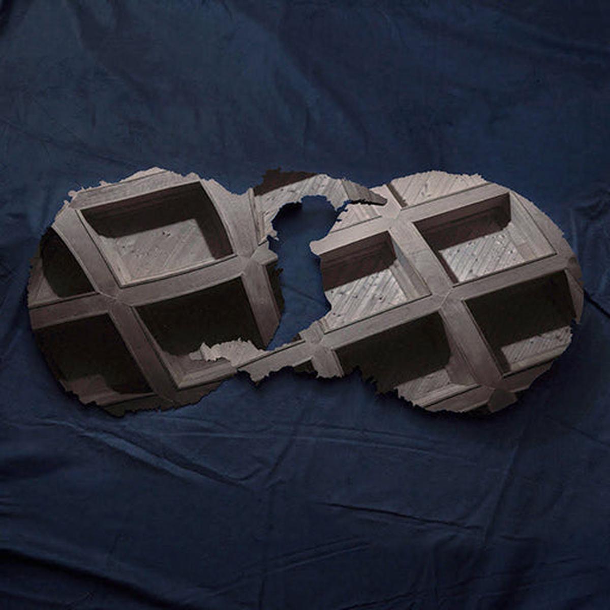 Dirty Projectors - Dirty Projectors (Vinyl) (B-Stock)