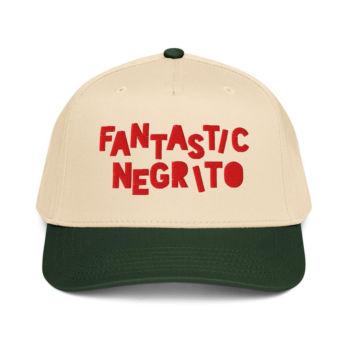 FANTASTIC WINTER CAP - Dark Green/Natural