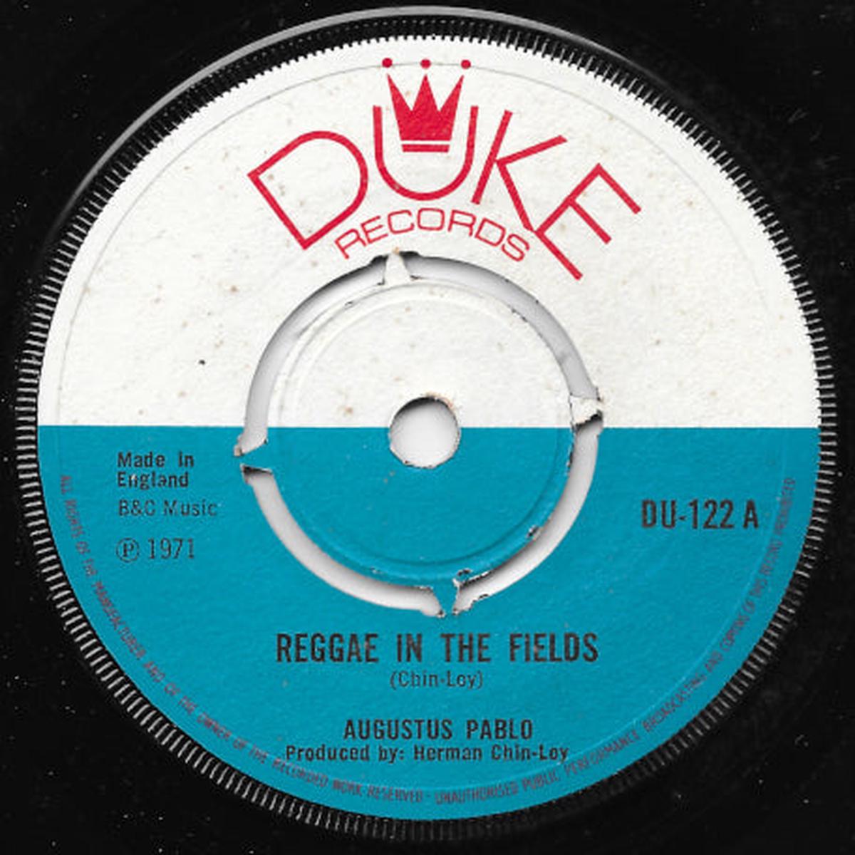 Reggae In The Fields / Aquarius 2